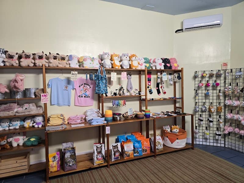 Cat Daddy's Cat Café - Photo 1