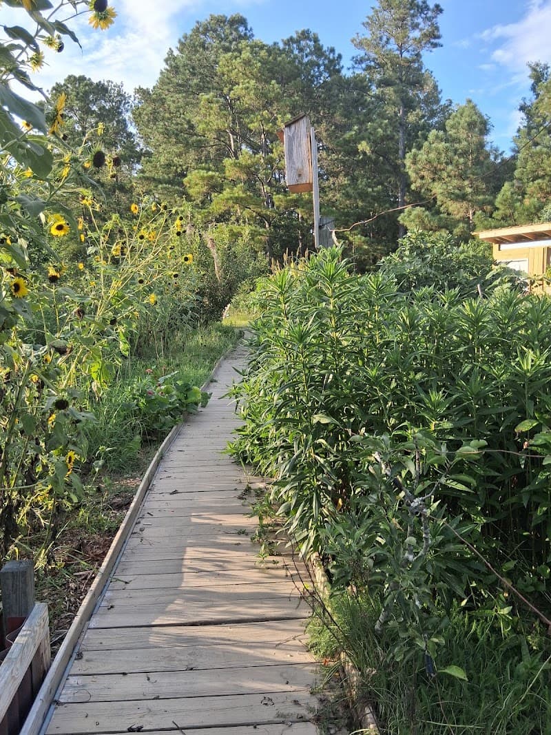 Owens Field Park (Leo's Landing) - Photo 3